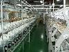 SAURER Type ESP-F Fancy Twister, 48 spindles